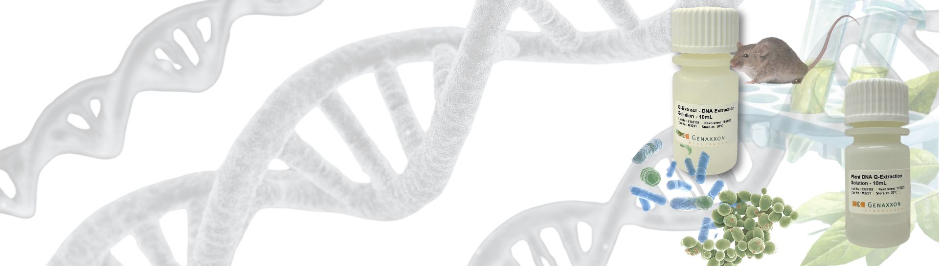 PCR-ready DNA in nur 8 Minuten.