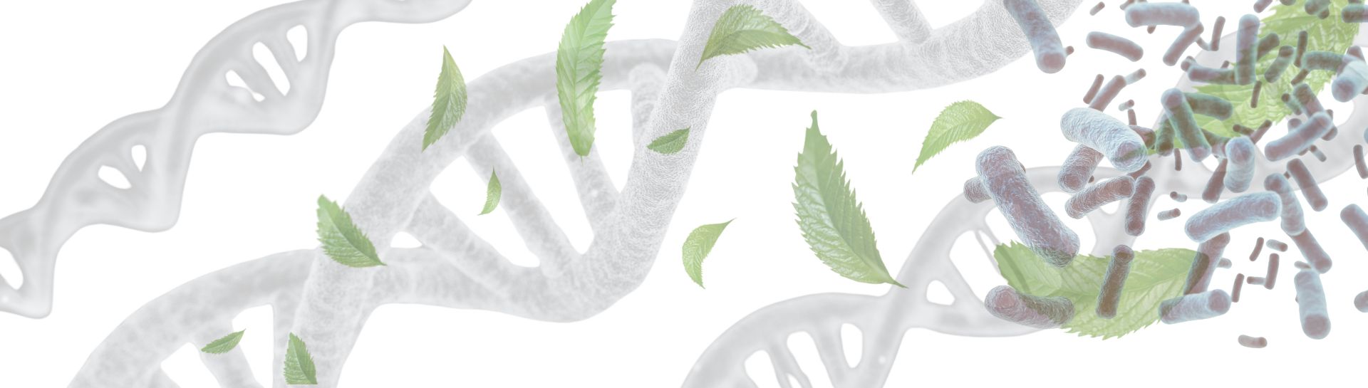 PCR-ready DNA in nur 8 Minuten.